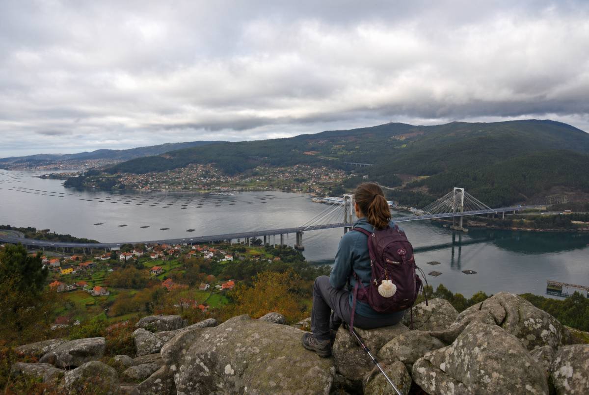 camino portugues organizado